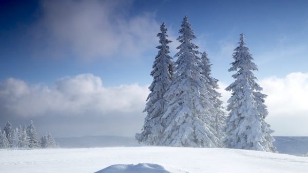 အခက်အခဲများနှင့် စမ်းသပ်ခြင်းများသည် ဘုရားသခင်၏ ကောင်းကြီးများဖြစ်သည်