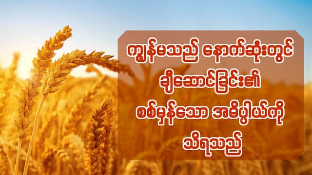 ကျွန်မသည် နောက်ဆုံးတွင် ချီဆောင်ခြင်း၏ စစ်မှန်သော အဓိပ္ပါယ်ကို သိရသည်