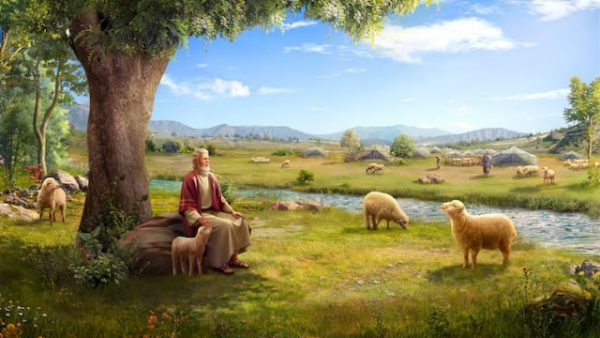 ယောဘသည် သစ်ပင်အောက်တွင်ထိုင်ပြီး သိုးကိုပွတ်သပ်ပြီး အဝေးကိုလှမ်းကြည့်နေသည်။