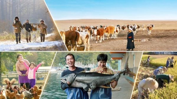 လူသားတို့၏ ရှင်သန်နေထိုင်မှုပုံစံအမျိုးမျိုးမှ နယ်နိမိတ်စည်းမျဉ်းများ ဖြစ်ပေါ်လာသည်။